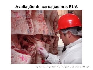http://www.marketingandtechnology.com/repository/webstories/webst4254.gif
Avaliação de carcaças nos EUA
 