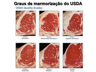 Graus de marmorização do USDA
 