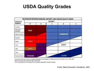 USDA Quality Grades
Fonte: Meat Evaluation Handbook, 2001
 