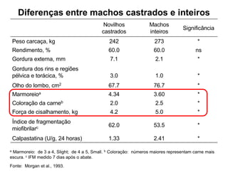 Novilhos
castrados
Machos
inteiros
Significância
Peso carcaça, kg 242 273 *
Rendimento, % 60.0 60.0 ns
Gordura externa, mm 7.1 2.1 *
Gordura dos rins e regiões
pélvica e torácica, % 3.0 1.0 *
Olho do lombo, cm2 67.7 76.7 *
Marmoreioa 4.34 3.60 *
Coloração da carneb 2.0 2.5 *
Força de cisalhamento, kg 4.2 5.0 *
Índice de fragmentação
miofibrilarc 62.0 53.5 *
Calpastatina (U/g, 24 horas) 1.33 2.41 *
Diferenças entre machos castrados e inteiros
a Marmoreio: de 3 a 4, Slight; de 4 a 5, Small. b Coloração: números maiores representam carne mais
escura. c IFM medido 7 dias após o abate.
Fonte: Morgan et al., 1993.
 