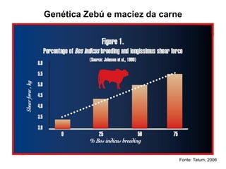 Fonte: Tatum, 2006
Genética Zebú e maciez da carne
 