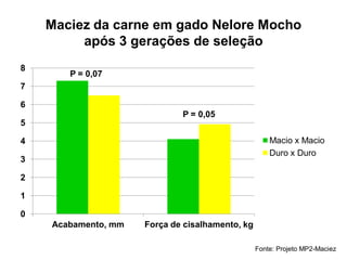 Maciez da carne em gado Nelore Mocho
após 3 gerações de seleção
Fonte: Projeto MP2-Maciez
0
1
2
3
4
5
6
7
8
Acabamento, mm Força de cisalhamento, kg
Macio x Macio
Duro x Duro
P = 0,07
P = 0,05
 