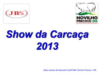 Slide cortesia de Alexandre Scaff Raffi, Novilho Precoce - MS
 