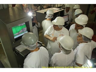 Slide cortesia de Alexandre Scaff Raffi, Novilho Precoce - MS
 