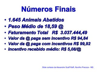 Slide cortesia de Alexandre Scaff Raffi, Novilho Precoce - MS
 