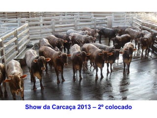 Show da Carcaça 2013 – 2º colocado
 