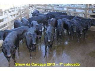 Show da Carcaça 2013 – 1º colocado
 