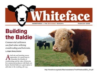http://hereford.org/static/files/newsletters/TheWhiteface0809_LR.pdf
 