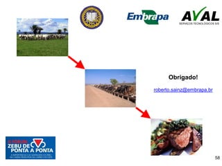 58
Obrigado!
roberto.sainz@embrapa.br
 