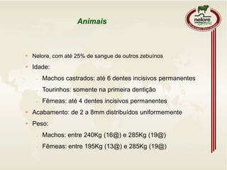 Animais
 Nelore, com até 25% de sangue de outros zebuínos
 Idade:
- Machos castrados: até 6 dentes incisivos permanentes
- Tourinhos: somente na primeira dentição
- Fêmeas: até 4 dentes incisivos permanentes
 Acabamento: de 2 a 8mm distribuídos uniformemente
 Peso:
- Machos: entre 240Kg (16@) e 285Kg (19@)
- Fêmeas: entre 195Kg (13@) e 285Kg (19@)
 
