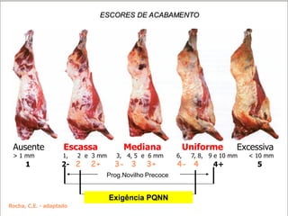 Ausente Escassa Mediana Uniforme Excessiva
> 1 mm 1, 2 e 3 mm 3, 4, 5 e 6 mm 6, 7, 8, 9 e 10 mm < 10 mm
1 2- 2 2+ 3- 3 3+ 4- 4 4+ 5
Rocha, C.E. - adaptado
ESCORES DE ACABAMENTO
Exigência PQNN
Prog.Novilho Precoce
 