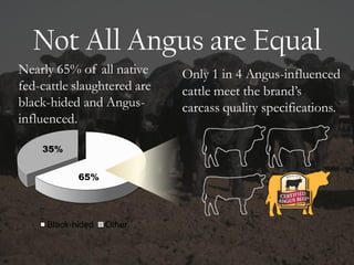 Not All Angus are Equal
65%
35%
Black-hided Other
Nearly 65% of all native
fed-cattle slaughtered are
black-hided and Angus-
influenced.
Only 1 in 4 Angus-influenced
cattle meet the brand’s
carcass quality specifications.
 