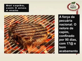 A força da
pecuária
nacional. O
nelore de
capim,
confinado
por 90 dias,
com 17@ e
bom
acabamento
 