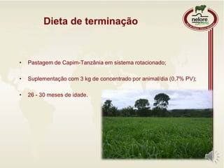 • Pastagem de Capim-Tanzânia em sistema rotacionado;
• Suplementação com 3 kg de concentrado por animal/dia (0,7% PV);
• 26 - 30 meses de idade.
Dieta de terminação
 
