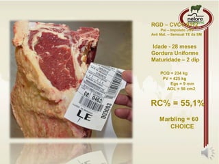 RGD – CVCV 9112
Pai – Impoluto JHV
Avô Mat. – Sensual TE da SM
Idade - 28 meses
Gordura Uniforme
Maturidade – 2 dip
PCQ = 234 kg
PV = 425 kg
Egs = 9 mm
AOL = 58 cm2
RC% = 55,1%
Marbling = 60
CHOICE
 