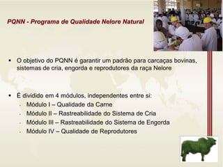 PQNN - Programa de Qualidade Nelore Natural
 O objetivo do PQNN é garantir um padrão para carcaças bovinas,
sistemas de cria, engorda e reprodutores da raça Nelore
 É dividido em 4 módulos, independentes entre si:
• Módulo I – Qualidade da Carne
• Módulo II – Rastreabilidade do Sistema de Cria
• Módulo III – Rastreabilidade do Sistema de Engorda
• Módulo IV – Qualidade de Reprodutores
 