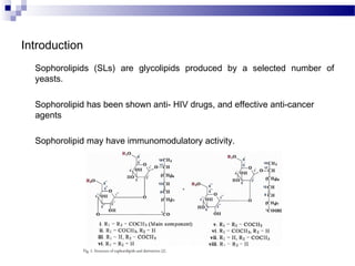 Introduction
Sophorolipids (SLs) are glycolipids produced by a selected number of
yeasts.
Sophorolipid has been shown anti...