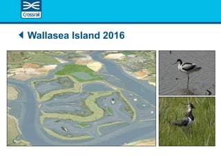 Wallasea Island 2016
 