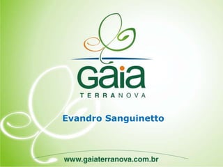 Evandro Sanguinetto - 2012
Evandro Sanguinetto
 