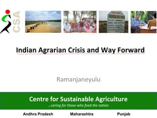 Indian Agrarian Crisis and Way Forward
Ramanjaneyulu
Centre for Sustainable Agriculture
…caring for those who feed the nation
Andhra Pradesh Maharashtra Punjab
 
