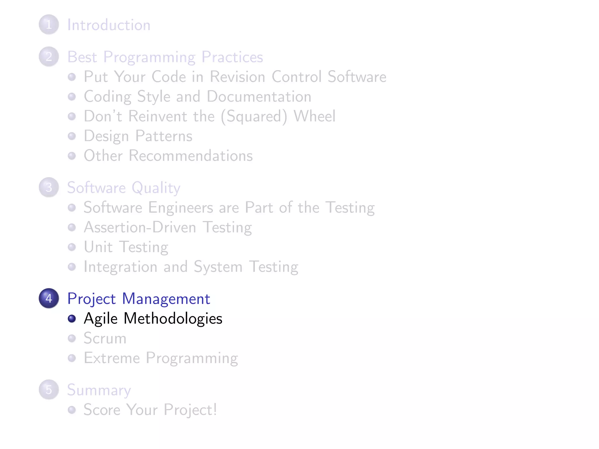 1 Introduction
2 Best Programming Practices
Put Your Code in Revision Control Software
Coding Style and Documentation
Don’t Reinvent the (Squared) Wheel
Design Patterns
Other Recommendations
3 Software Quality
Software Engineers are Part of the Testing
Assertion-Driven Testing
Unit Testing
Integration and System Testing
4 Project Management
Agile Methodologies
Scrum
Extreme Programming
5 Summary
Score Your Project!
 