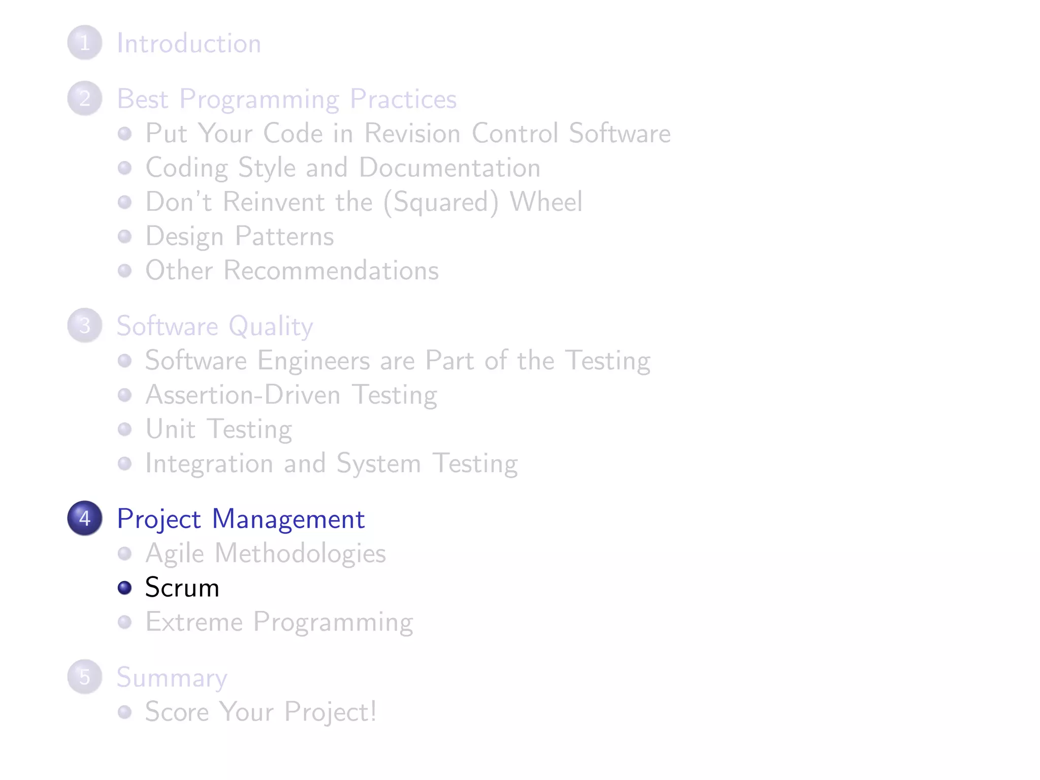 1 Introduction
2 Best Programming Practices
Put Your Code in Revision Control Software
Coding Style and Documentation
Don’t Reinvent the (Squared) Wheel
Design Patterns
Other Recommendations
3 Software Quality
Software Engineers are Part of the Testing
Assertion-Driven Testing
Unit Testing
Integration and System Testing
4 Project Management
Agile Methodologies
Scrum
Extreme Programming
5 Summary
Score Your Project!
 