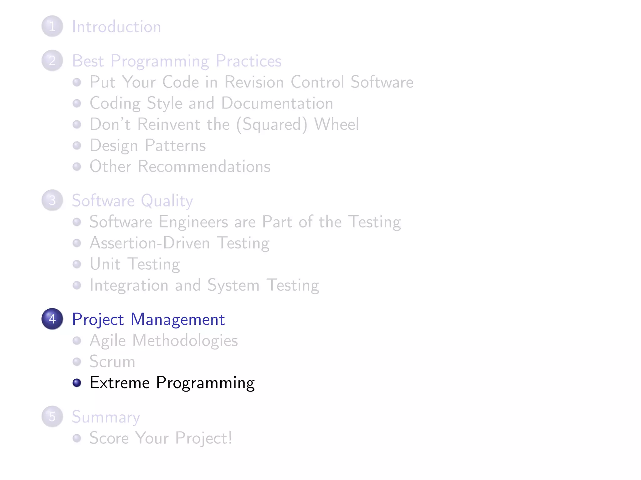 1 Introduction
2 Best Programming Practices
Put Your Code in Revision Control Software
Coding Style and Documentation
Don’t Reinvent the (Squared) Wheel
Design Patterns
Other Recommendations
3 Software Quality
Software Engineers are Part of the Testing
Assertion-Driven Testing
Unit Testing
Integration and System Testing
4 Project Management
Agile Methodologies
Scrum
Extreme Programming
5 Summary
Score Your Project!
 