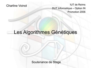Les Algorithmes Génétiques
Charline Voinot
Soutenance de Stage
IUT de Reims
DUT Informatique – Option IN
Promotion 2006
 
