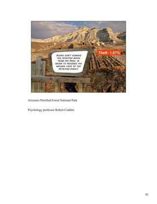 Arizona's Petrified Forest National Park
Psychology professor Robert Cialdini
43
 