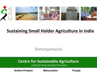 Sustaining Small Holder Agriculture in India
Ramanjaneyulu
Centre for Sustainable Agriculture
…caring for those who feed the nation
Andhra Pradesh Maharashtra Punjab
 