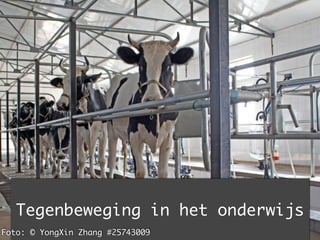 Tegenbeweging in het onderwijs
Foto: © YongXin Zhang #25743009
 
