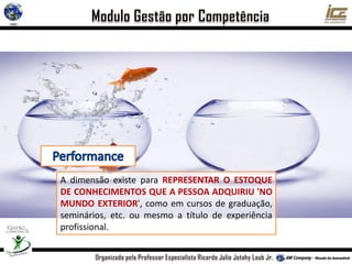 A dimensão existe para REPRESENTAR O ESTOQUE
DE CONHECIMENTOS QUE A PESSOA ADQUIRIU 'NO
MUNDO EXTERIOR', como em cursos de graduação,
seminários, etc. ou mesmo a título de experiência
profissional.
 