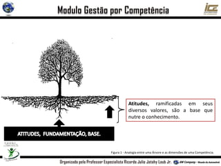 Atitudes, ramificadas em seus
diversos valores, são a base que
nutre o conhecimento.
Figura 1 - Analogia entre uma Árvore e as dimensões de uma Competência.
 