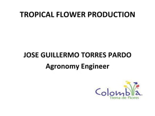 TROPICAL FLOWER PRODUCTION
JOSE GUILLERMO TORRES PARDO
Agronomy Engineer
 