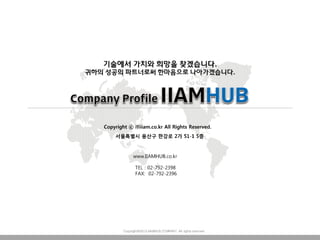 -12-IIAMHUB
 