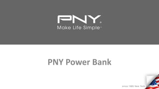PNY Power Bank
 