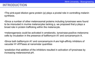 INHA University - Bioengineering
INTRODUCTION
•The pink-eyed dilution gene protein (p) plays a pivotal role in controlling...