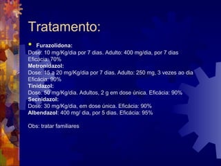 Tratamento:
 Furazolidona:
Dose: 10 mg/Kg/dia por 7 dias. Adulto: 400 mg/dia, por 7 dias
Eficácia: 70%
Metronidazol:
Dose: 15 a 20 mg/Kg/dia por 7 dias. Adulto: 250 mg, 3 vezes ao dia
Eficácia: 90%
Tinidazol:
Dose: 50 mg/Kg/dia. Adultos, 2 g em dose única. Eficácia: 90%
Secnidazol:
Dose: 30 mg/Kg/dia, em dose única. Eficácia: 90%
Albendazol: 400 mg/ dia, por 5 dias. Eficácia: 95%
Obs: tratar familiares
 