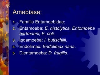 Amebíase:
1. Família Entamoebidae:
2. Entamoeba: E. histolytica, Entomoeba
hartmanni, E. coli.
3. Iodamoeba: I. butischilli.
4. Endolimax: Endolimax nana.
5. Dientamoeba: D. fragilis.
 