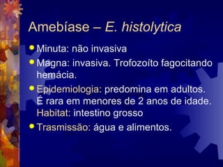 Amebíase – E. histolytica
 Minuta: não invasiva
 Magna: invasiva. Trofozoíto fagocitando
hemácia.
 Epidemiologia: predomina em adultos.
É rara em menores de 2 anos de idade.
Habitat: intestino grosso
 Trasmissão: água e alimentos.
 