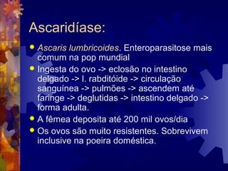 Ascaridíase:
 Ascaris lumbricoides. Enteroparasitose mais
comum na pop mundial
 Ingesta do ovo -> eclosão no intestino
delgado -> l. rabditóide -> circulação
sanguínea -> pulmões -> ascendem até
faringe -> deglutidas -> intestino delgado ->
forma adulta.
 A fêmea deposita até 200 mil ovos/dia
 Os ovos são muito resistentes. Sobrevivem
inclusive na poeira doméstica.
 