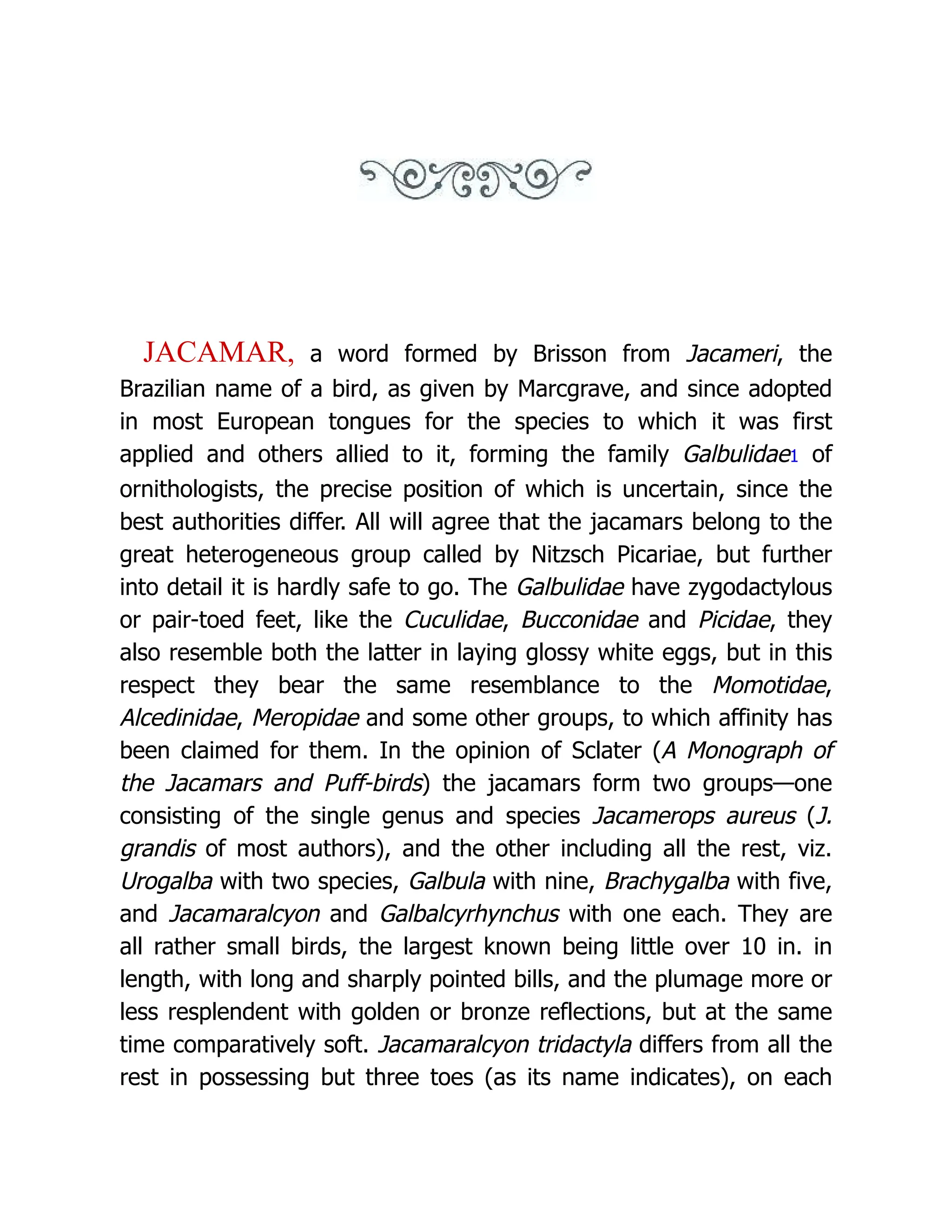 JACAMAR, a word formed by Brisson from Jacameri, the
Brazilian name of a bird, as given by Marcgrave, and since adopted
in most European tongues for the species to which it was first
applied and others allied to it, forming the family Galbulidae1 of
ornithologists, the precise position of which is uncertain, since the
best authorities differ. All will agree that the jacamars belong to the
great heterogeneous group called by Nitzsch Picariae, but further
into detail it is hardly safe to go. The Galbulidae have zygodactylous
or pair-toed feet, like the Cuculidae, Bucconidae and Picidae, they
also resemble both the latter in laying glossy white eggs, but in this
respect they bear the same resemblance to the Momotidae,
Alcedinidae, Meropidae and some other groups, to which affinity has
been claimed for them. In the opinion of Sclater (A Monograph of
the Jacamars and Puff-birds) the jacamars form two groups—one
consisting of the single genus and species Jacamerops aureus (J.
grandis of most authors), and the other including all the rest, viz.
Urogalba with two species, Galbula with nine, Brachygalba with five,
and Jacamaralcyon and Galbalcyrhynchus with one each. They are
all rather small birds, the largest known being little over 10 in. in
length, with long and sharply pointed bills, and the plumage more or
less resplendent with golden or bronze reflections, but at the same
time comparatively soft. Jacamaralcyon tridactyla differs from all the
rest in possessing but three toes (as its name indicates), on each
 