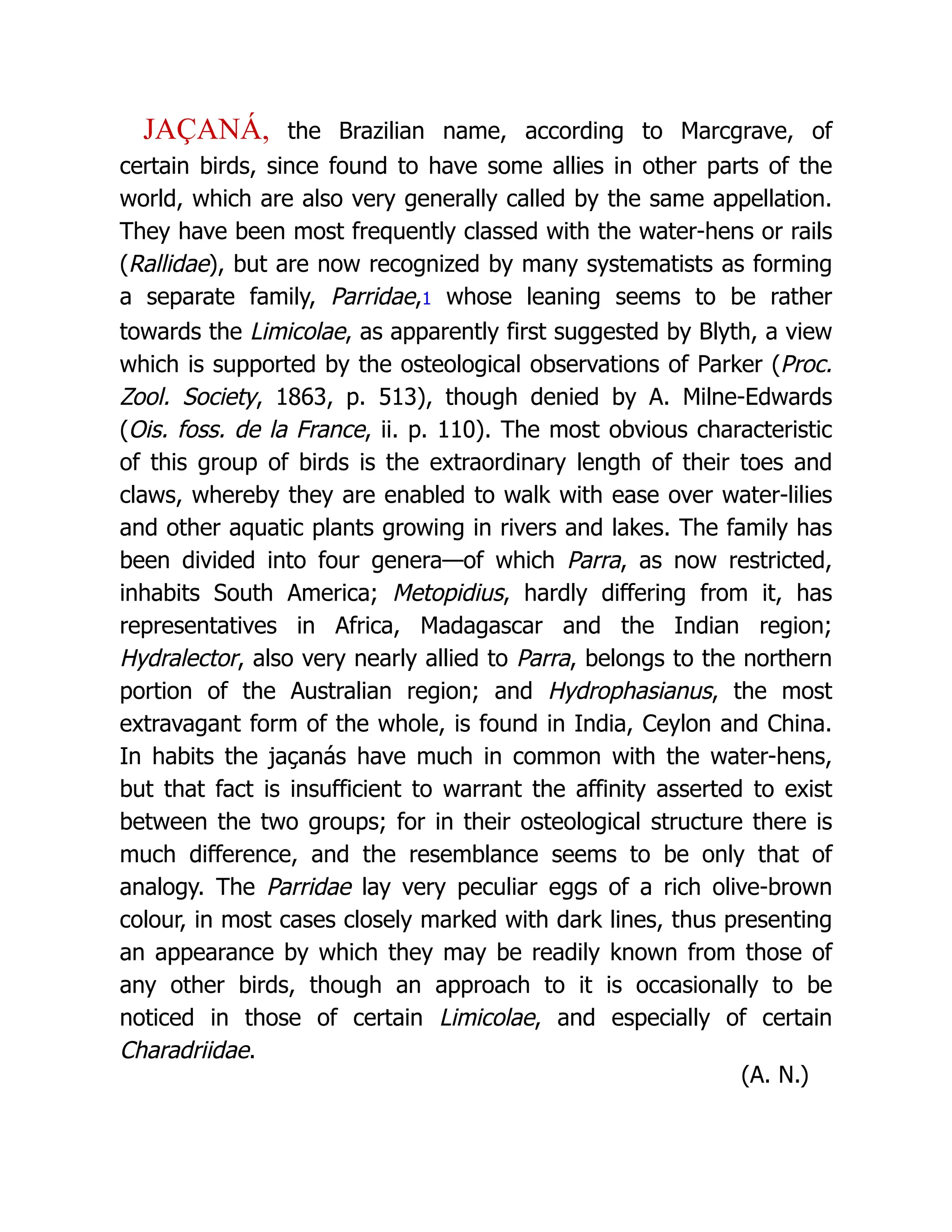 JAÇANÁ, the Brazilian name, according to Marcgrave, of
certain birds, since found to have some allies in other parts of the
world, which are also very generally called by the same appellation.
They have been most frequently classed with the water-hens or rails
(Rallidae), but are now recognized by many systematists as forming
a separate family, Parridae,1 whose leaning seems to be rather
towards the Limicolae, as apparently first suggested by Blyth, a view
which is supported by the osteological observations of Parker (Proc.
Zool. Society, 1863, p. 513), though denied by A. Milne-Edwards
(Ois. foss. de la France, ii. p. 110). The most obvious characteristic
of this group of birds is the extraordinary length of their toes and
claws, whereby they are enabled to walk with ease over water-lilies
and other aquatic plants growing in rivers and lakes. The family has
been divided into four genera—of which Parra, as now restricted,
inhabits South America; Metopidius, hardly differing from it, has
representatives in Africa, Madagascar and the Indian region;
Hydralector, also very nearly allied to Parra, belongs to the northern
portion of the Australian region; and Hydrophasianus, the most
extravagant form of the whole, is found in India, Ceylon and China.
In habits the jaçanás have much in common with the water-hens,
but that fact is insufficient to warrant the affinity asserted to exist
between the two groups; for in their osteological structure there is
much difference, and the resemblance seems to be only that of
analogy. The Parridae lay very peculiar eggs of a rich olive-brown
colour, in most cases closely marked with dark lines, thus presenting
an appearance by which they may be readily known from those of
any other birds, though an approach to it is occasionally to be
noticed in those of certain Limicolae, and especially of certain
Charadriidae.
(A. N.)
 