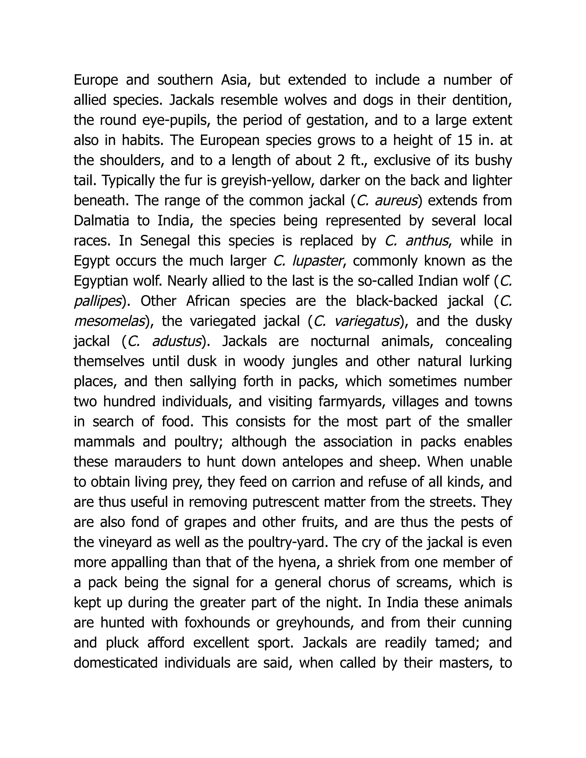 Europe and southern Asia, but extended to include a number of
allied species. Jackals resemble wolves and dogs in their dentition,
the round eye-pupils, the period of gestation, and to a large extent
also in habits. The European species grows to a height of 15 in. at
the shoulders, and to a length of about 2 ft., exclusive of its bushy
tail. Typically the fur is greyish-yellow, darker on the back and lighter
beneath. The range of the common jackal (C. aureus) extends from
Dalmatia to India, the species being represented by several local
races. In Senegal this species is replaced by C. anthus, while in
Egypt occurs the much larger C. lupaster, commonly known as the
Egyptian wolf. Nearly allied to the last is the so-called Indian wolf (C.
pallipes). Other African species are the black-backed jackal (C.
mesomelas), the variegated jackal (C. variegatus), and the dusky
jackal (C. adustus). Jackals are nocturnal animals, concealing
themselves until dusk in woody jungles and other natural lurking
places, and then sallying forth in packs, which sometimes number
two hundred individuals, and visiting farmyards, villages and towns
in search of food. This consists for the most part of the smaller
mammals and poultry; although the association in packs enables
these marauders to hunt down antelopes and sheep. When unable
to obtain living prey, they feed on carrion and refuse of all kinds, and
are thus useful in removing putrescent matter from the streets. They
are also fond of grapes and other fruits, and are thus the pests of
the vineyard as well as the poultry-yard. The cry of the jackal is even
more appalling than that of the hyena, a shriek from one member of
a pack being the signal for a general chorus of screams, which is
kept up during the greater part of the night. In India these animals
are hunted with foxhounds or greyhounds, and from their cunning
and pluck afford excellent sport. Jackals are readily tamed; and
domesticated individuals are said, when called by their masters, to
 
