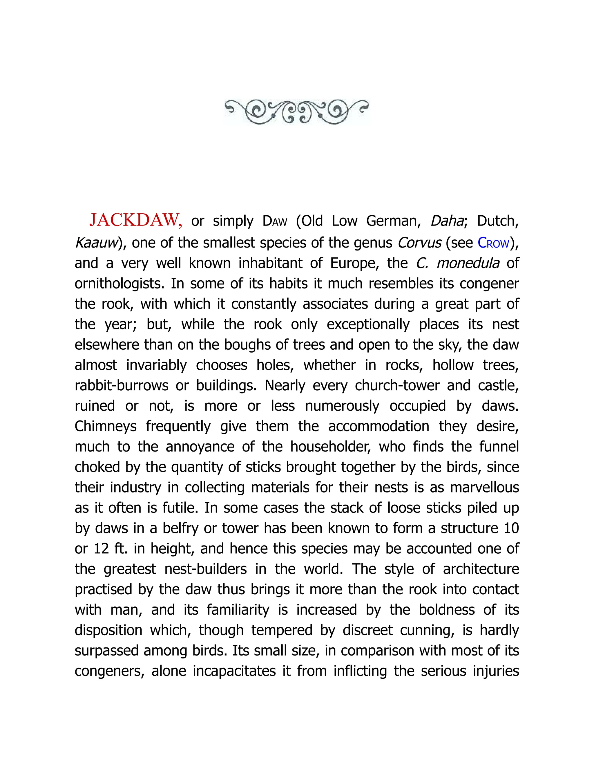 JACKDAW, or simply Daw (Old Low German, Daha; Dutch,
Kaauw), one of the smallest species of the genus Corvus (see Crow),
and a very well known inhabitant of Europe, the C. monedula of
ornithologists. In some of its habits it much resembles its congener
the rook, with which it constantly associates during a great part of
the year; but, while the rook only exceptionally places its nest
elsewhere than on the boughs of trees and open to the sky, the daw
almost invariably chooses holes, whether in rocks, hollow trees,
rabbit-burrows or buildings. Nearly every church-tower and castle,
ruined or not, is more or less numerously occupied by daws.
Chimneys frequently give them the accommodation they desire,
much to the annoyance of the householder, who finds the funnel
choked by the quantity of sticks brought together by the birds, since
their industry in collecting materials for their nests is as marvellous
as it often is futile. In some cases the stack of loose sticks piled up
by daws in a belfry or tower has been known to form a structure 10
or 12 ft. in height, and hence this species may be accounted one of
the greatest nest-builders in the world. The style of architecture
practised by the daw thus brings it more than the rook into contact
with man, and its familiarity is increased by the boldness of its
disposition which, though tempered by discreet cunning, is hardly
surpassed among birds. Its small size, in comparison with most of its
congeners, alone incapacitates it from inflicting the serious injuries
 