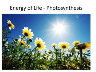 Energy of Life - Photosynthesis
 