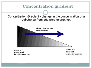 Concentration gradient
Concentration Gradient - change in the concentration of a
substance from one area to another.
 