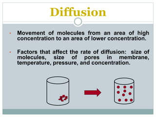 Diffusion
• Movement of molecules from an area of high
concentration to an area of lower concentration.
• Factors that affect the rate of diffusion: size of
molecules, size of pores in membrane,
temperature, pressure, and concentration.
 