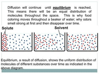 Diffusion will continue until equilibrium is reached.
This means there will be an equal distribution of
molecules throughout the space. This is why food
coloring moves throughout a beaker of water; why odors
smell strong at first and then disappear over time.
Equilibrium, a result of diffusion, shows the uniform distribution of
molecules of different substances over time as indicated in the
above diagram.
 
