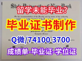 办美国佩斯大学毕业证文凭学历证